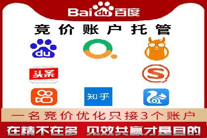 竞价广告的投放策略与效果评估——以一成功企业为例